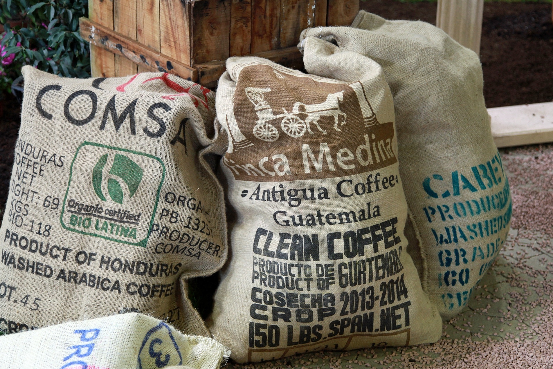 Green Coffee Bags